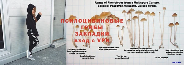 бутират Баксан