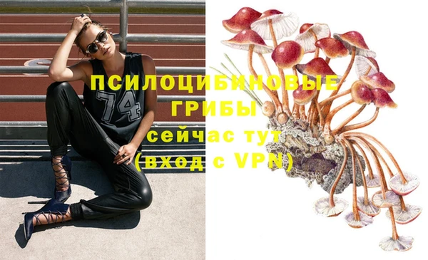 соль ск Балабаново